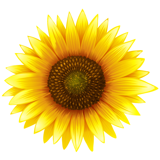 Sunflower Childcare Group - Sunflower Childcare Group